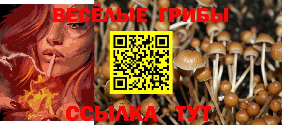 Псилоцибиновые грибы MAGIC MUSHROOMS Миллерово